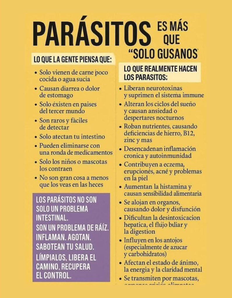 Parásitos